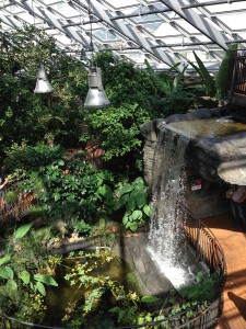 Acquafert MUSE Serra tropicale