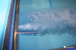 Acquafertpool vasca fisioterapica iIdromassaggio e corrimano in acciaio INOX AISI 316
