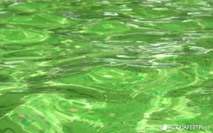 acquafert-pool-acqua-piscina-verde