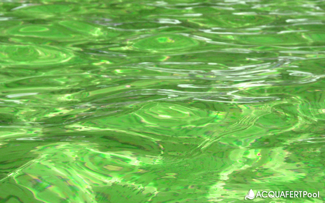 L’acqua della piscina è verde!